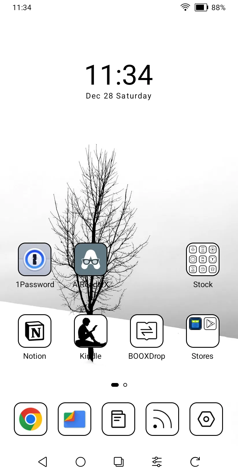 I have Chrome browser, File management, 1Password, Notion to take notes on the fly, and third-party reader apps. Basically, whatever I can get from the Play Store can be installed here.